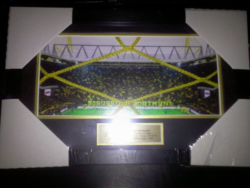 Borussia dortmund bvb - borussia,