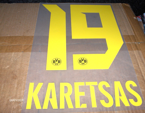 Bvb karetsas spielerflock - bvb,