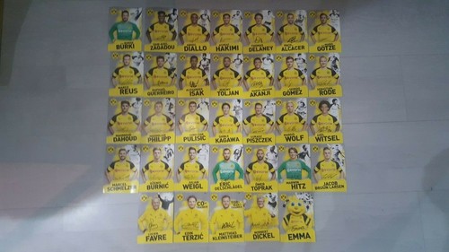Borussia dortmund bvb 2018 - borussia,