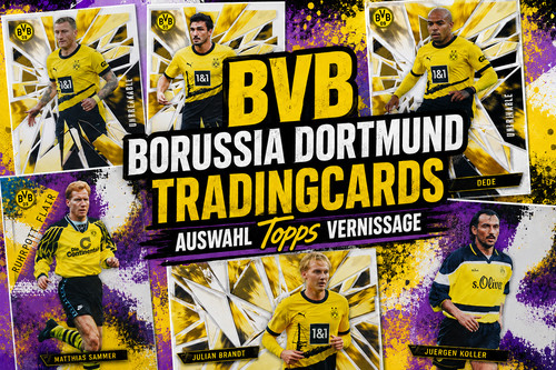 Bvb borussia dortmund - ,