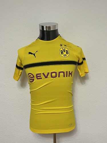 Borussia dortmund bvb - borussia,