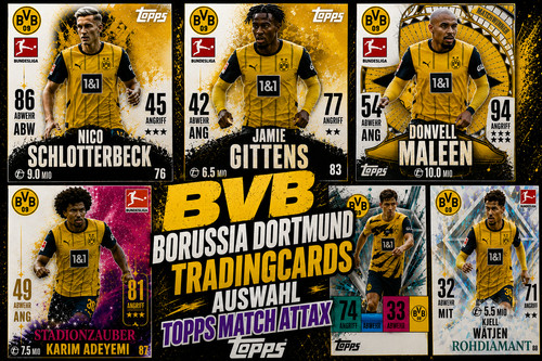 Bvb borussia dortmund - bvb,