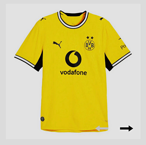 Puma borussia dortmund bvb - puma,