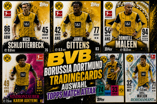 Bvb borussia dortmund - bvb,