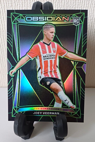 Panini obsidian 2024 joey - obsidian, 2024-25